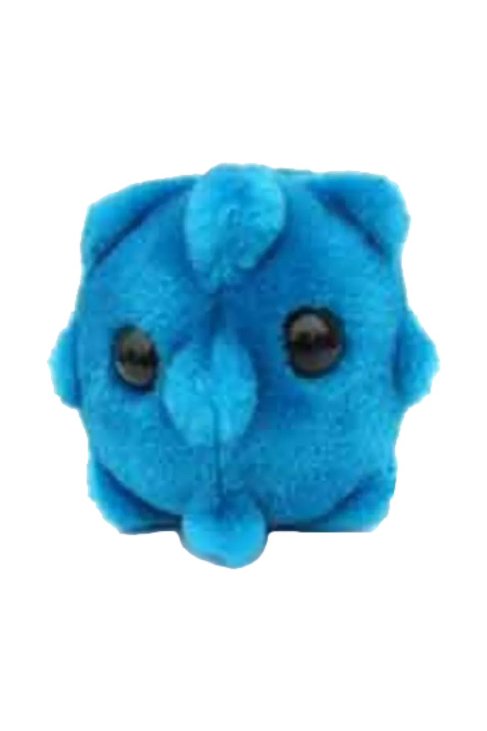 Enfermania Regalos GiantMicrobes peluche rhinovirus rhume
