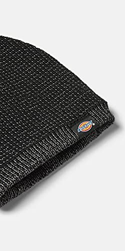 Dickies Evadale Bonnet noir taille unique
