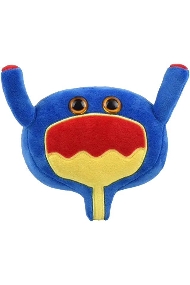Enfermania Regalos Giantmicrobes peluche vessie