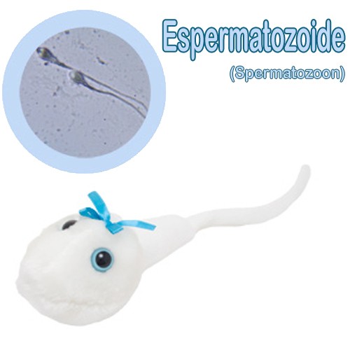 Enfermania GiantMicrobes peluche spermatozoïde 13-18 cm