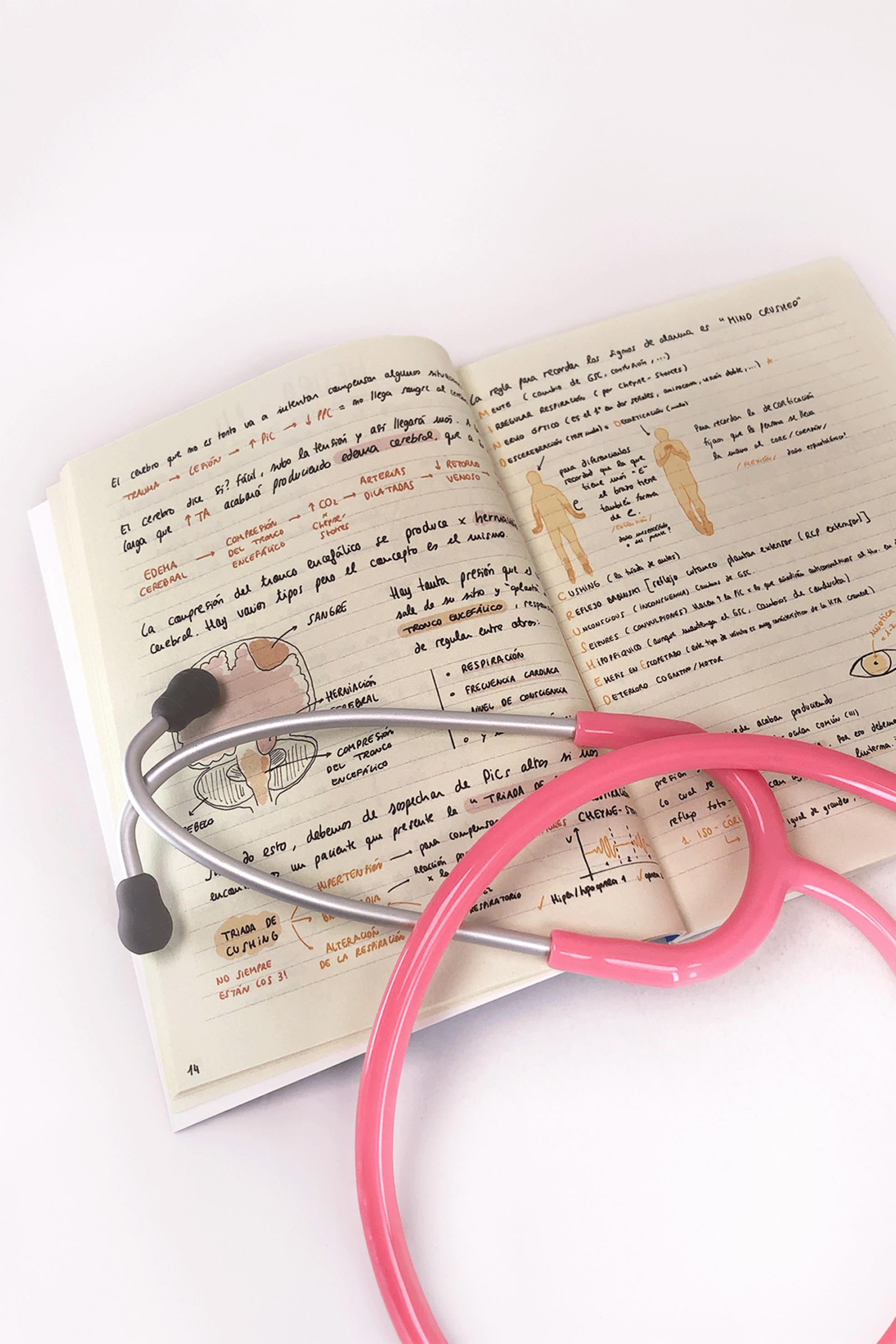 Enfermania UCI livre guide survie en reanimation
