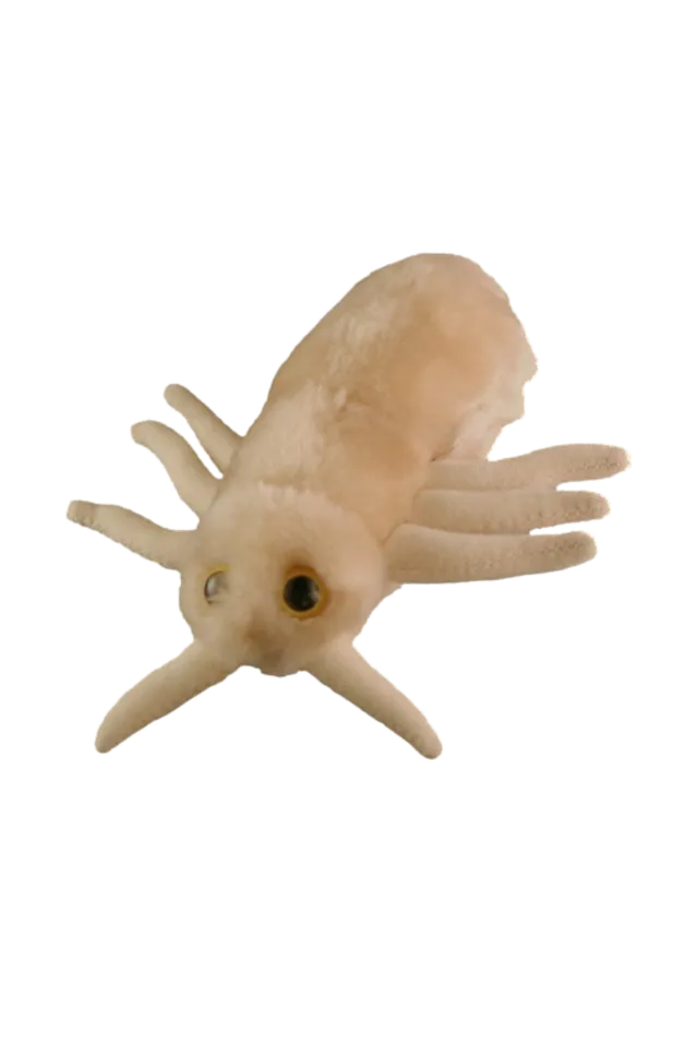 Enfermania Regalos Peluche pou Pediculus Capitis 18 cm