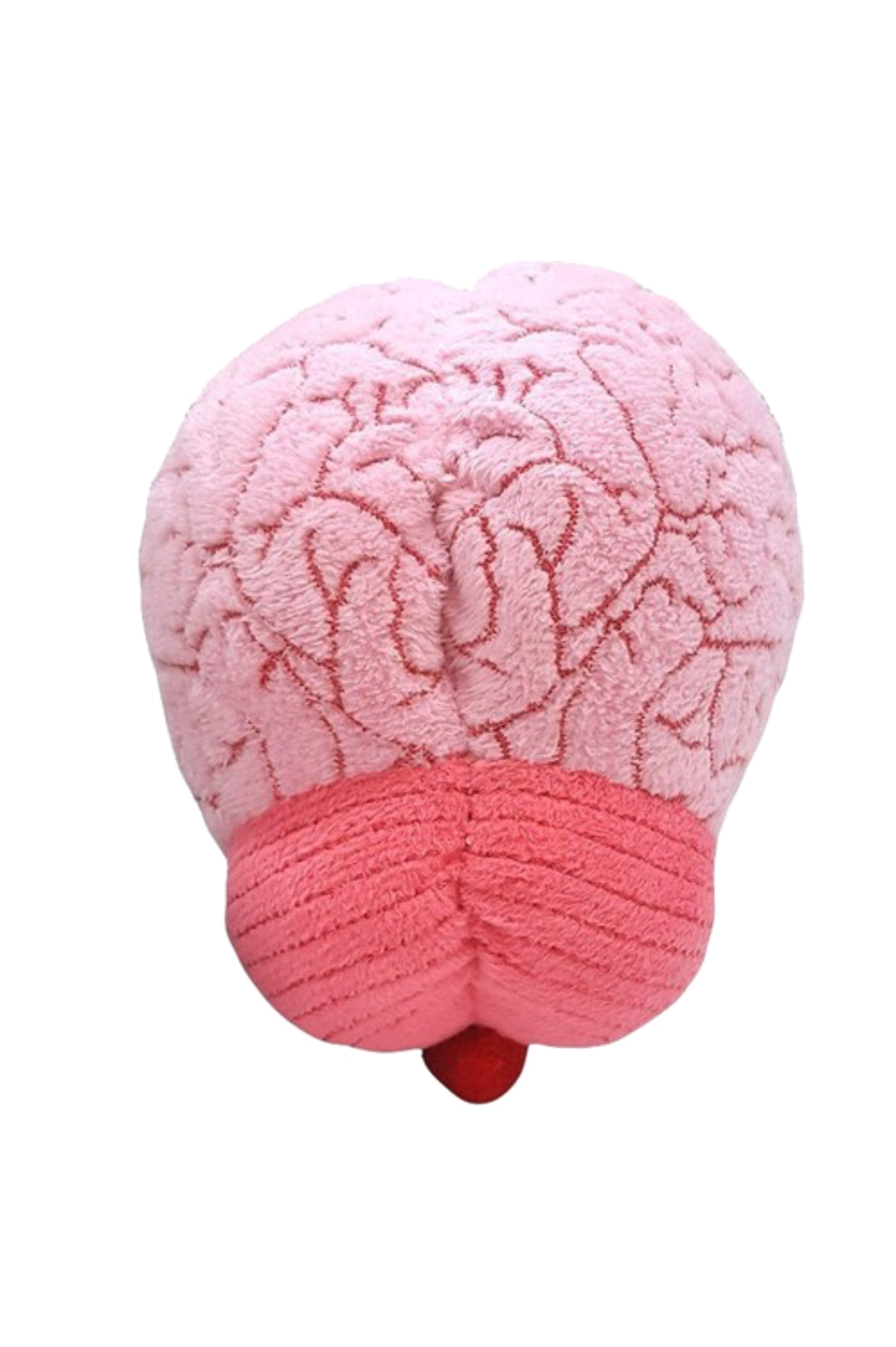 Enfermania Regalos Cerveau peluche 19 cm polyester