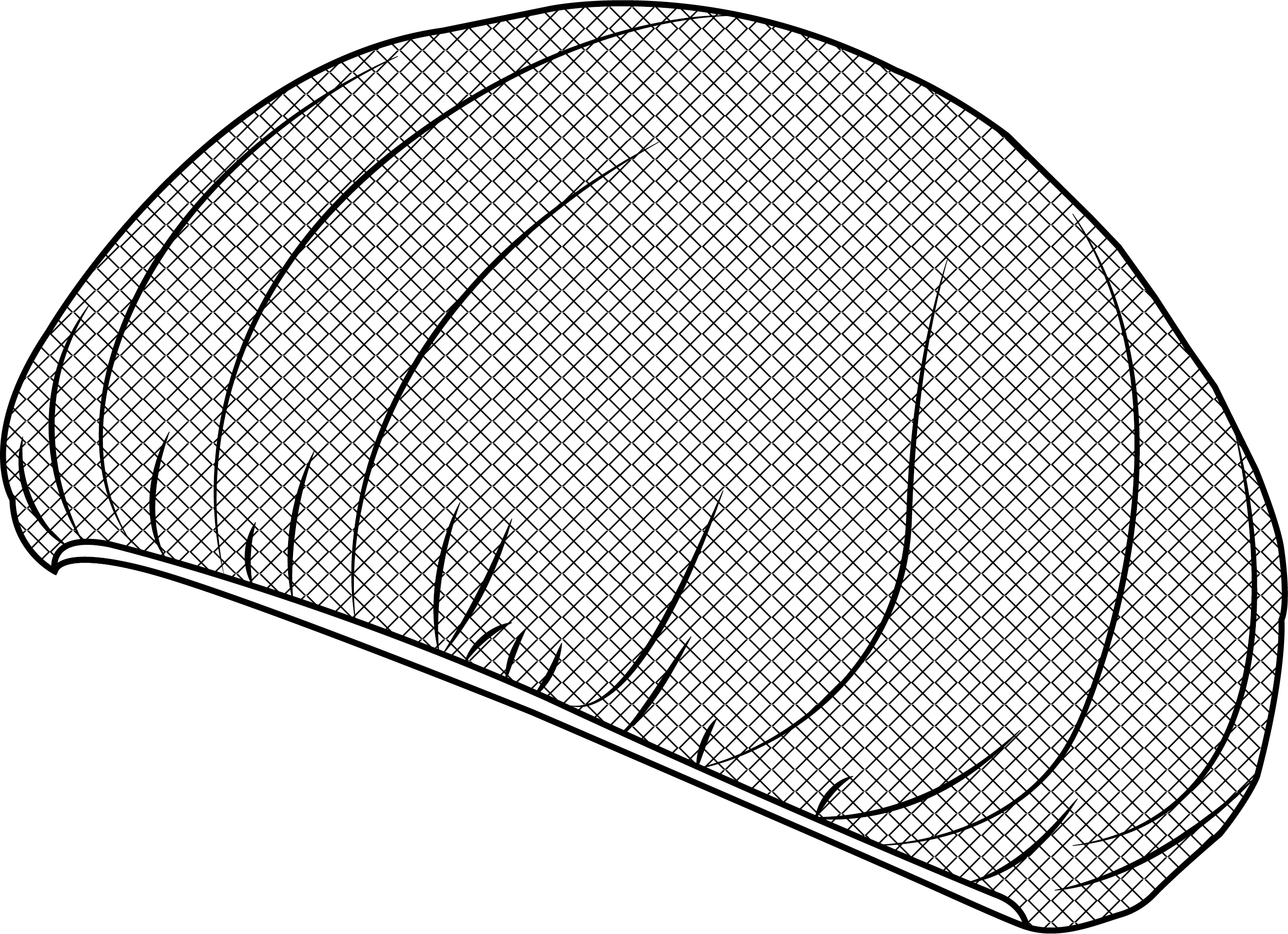 Gary's casquette filet noir lot 10 cuisine